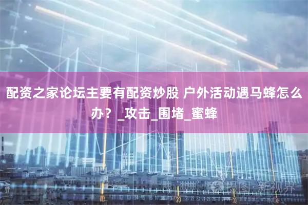 配资之家论坛主要有配资炒股 户外活动遇马蜂怎么办？_攻击_围堵_蜜蜂